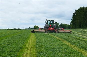 Frøblanding Nr. 49, 10 kg